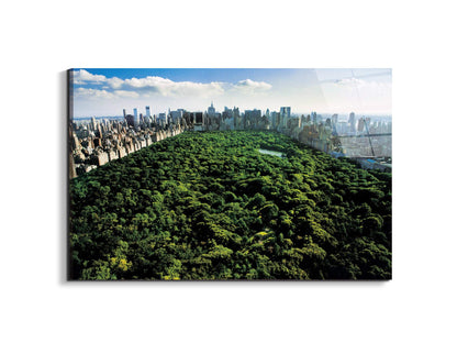 new-york-central-parkec22167-#materiale_EarthArt Total Gloss/dimensioni_79,5x53