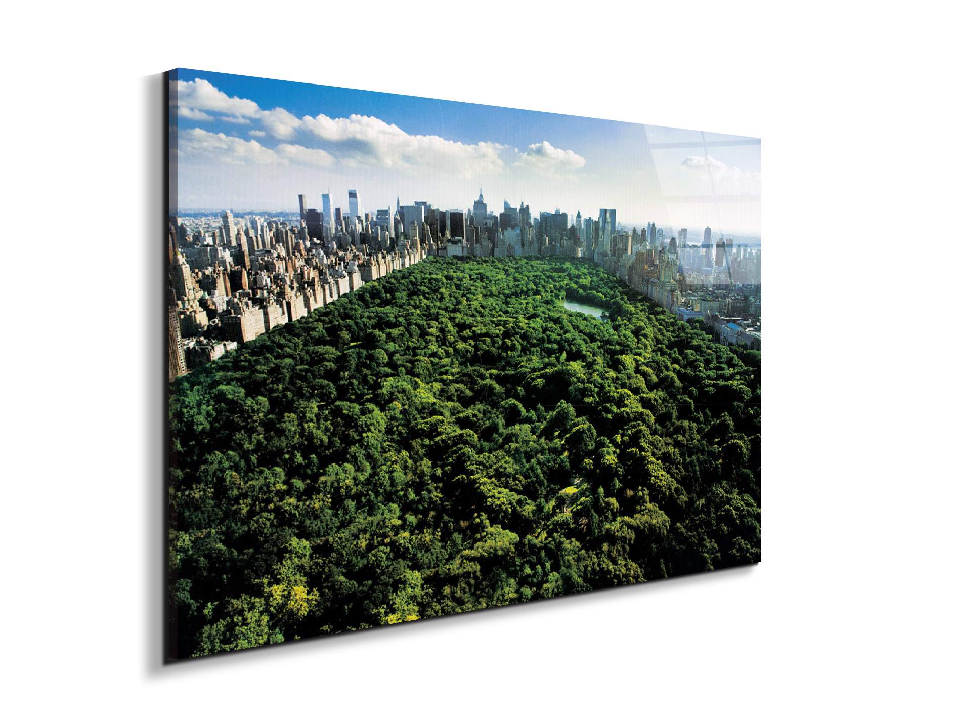 new-york-central-parkec22167-#materiale_EarthArt Total Gloss/dimensioni_79,5x53