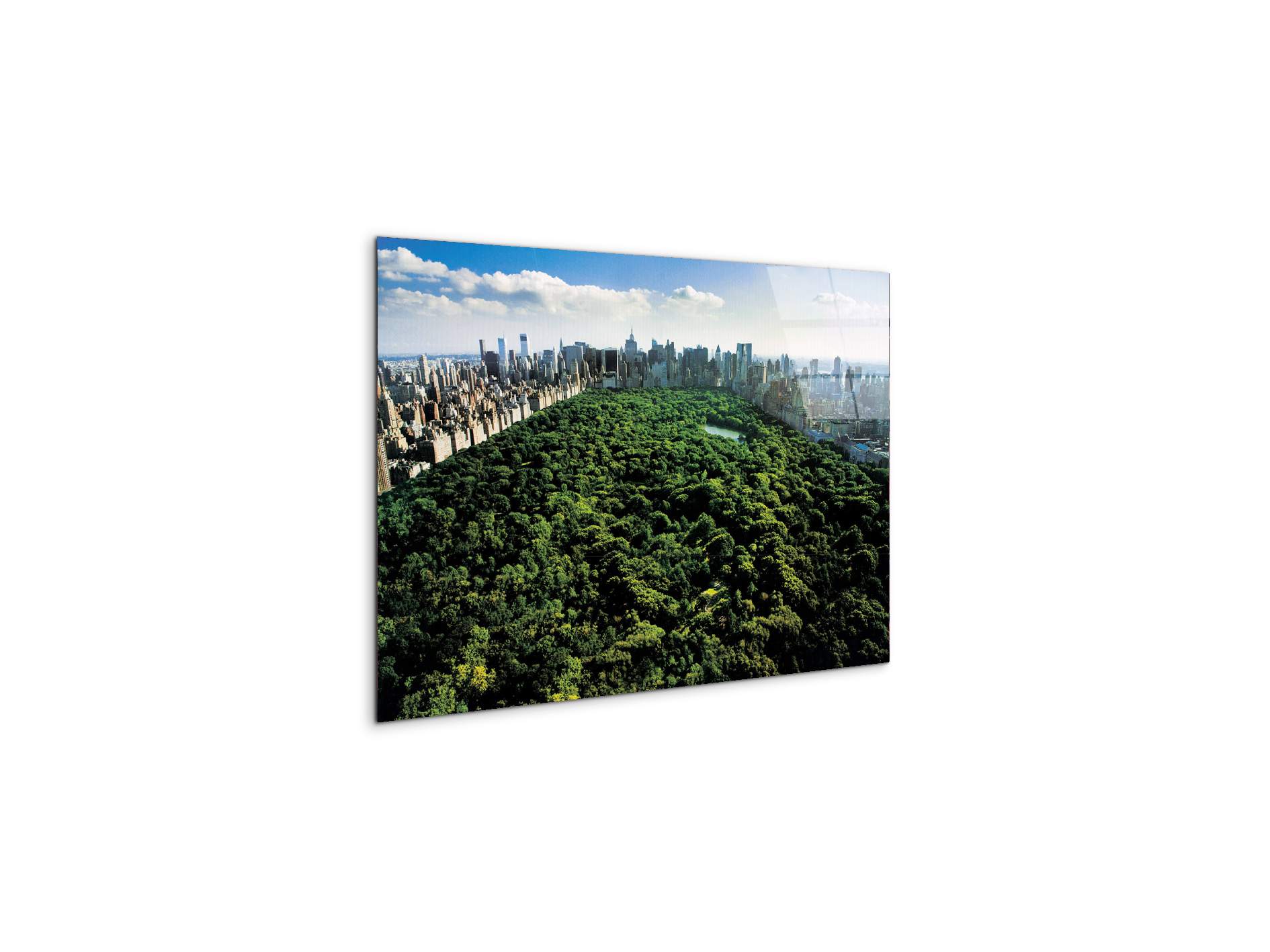 new-york-central-parkec22167-#materiale_CrystalArt/dimensioni_50x33,33