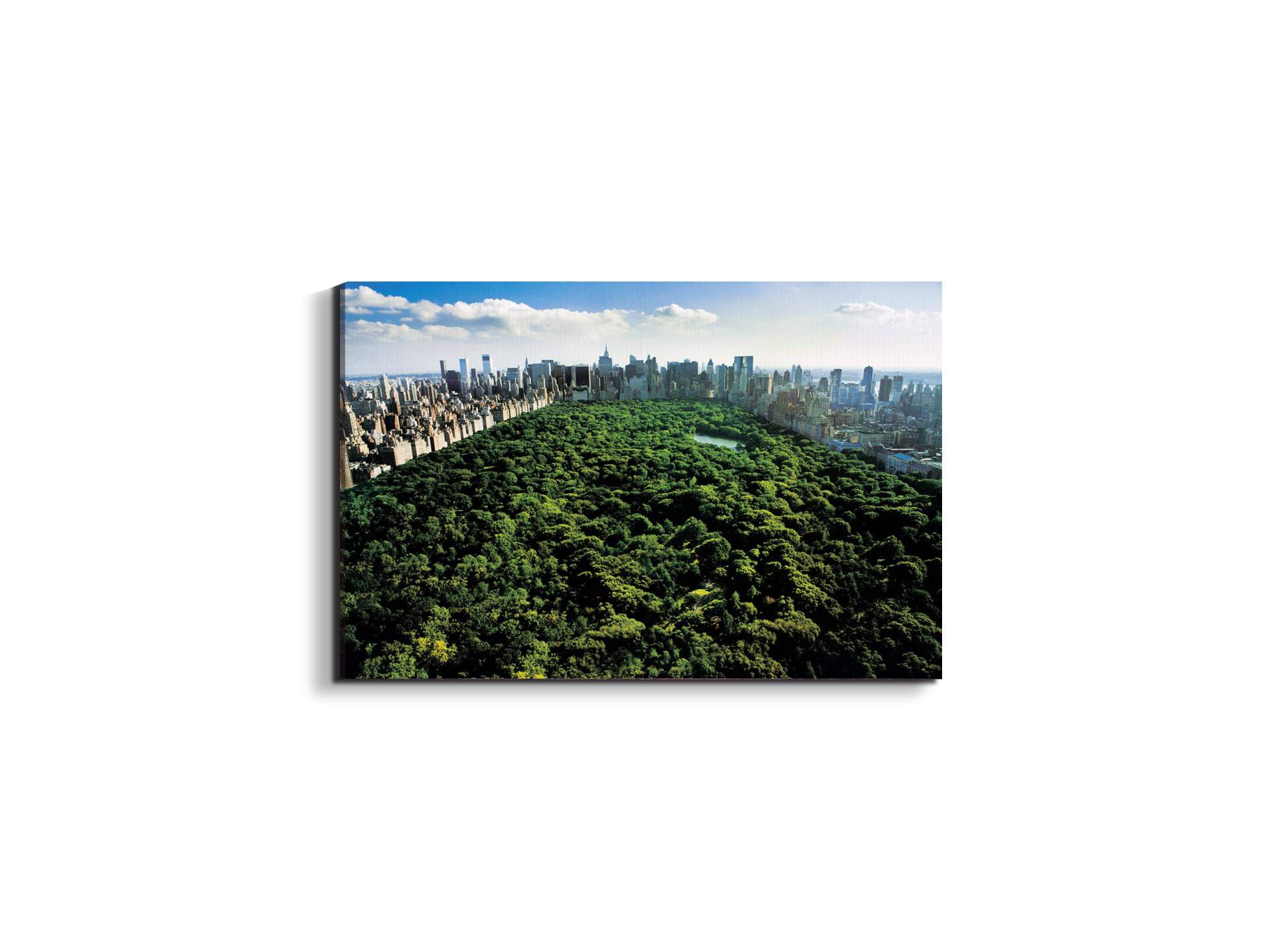 new-york-central-parkec22167-#materiale_EarthArt/dimensioni_50x33,33