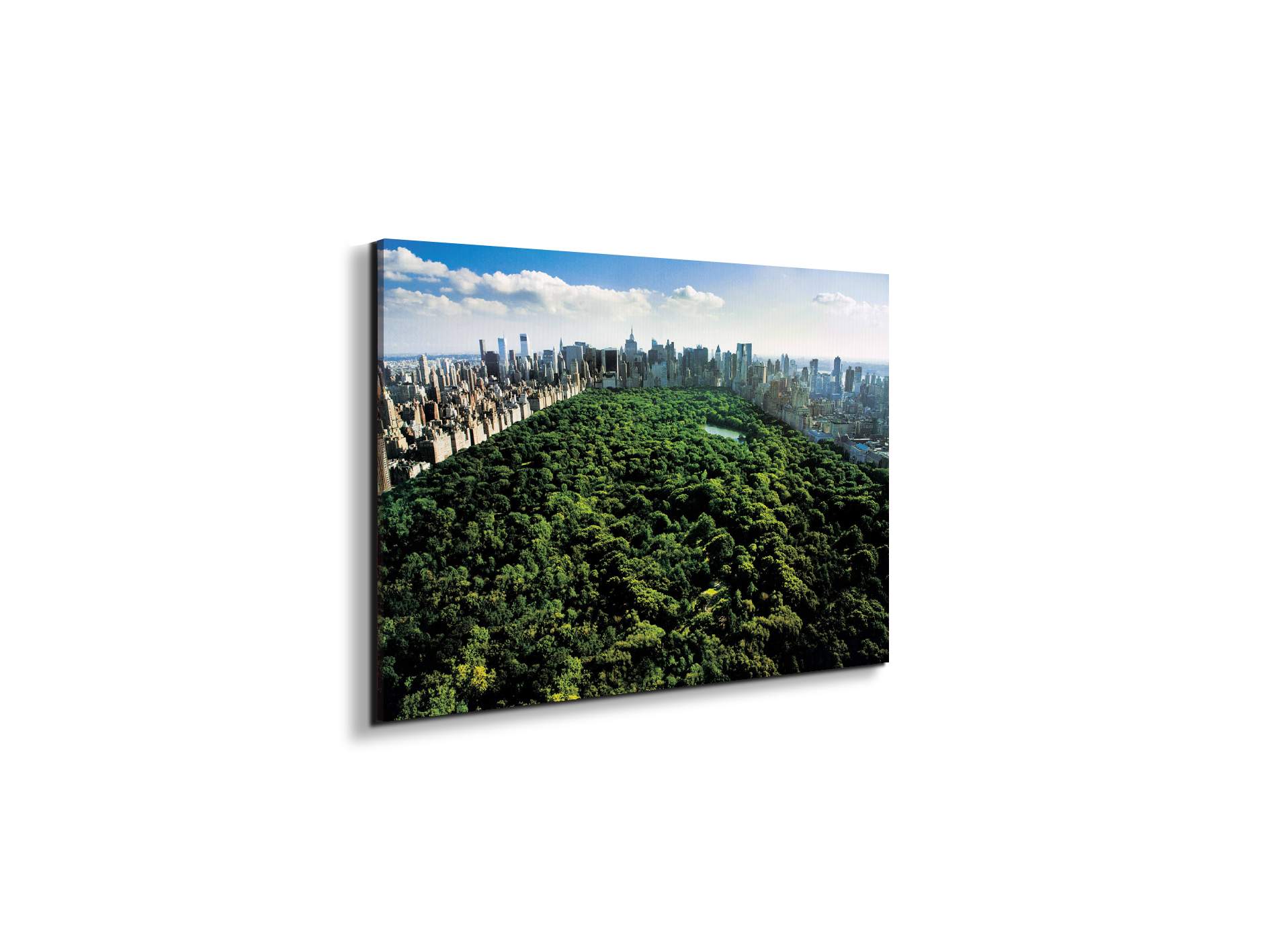 new-york-central-parkec22167-#materiale_EarthArt/dimensioni_50x33,33