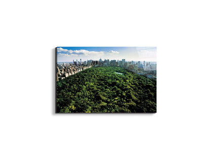 new-york-central-parkec22167-#materiale_EarthArt Total Gloss/dimensioni_50x33,33