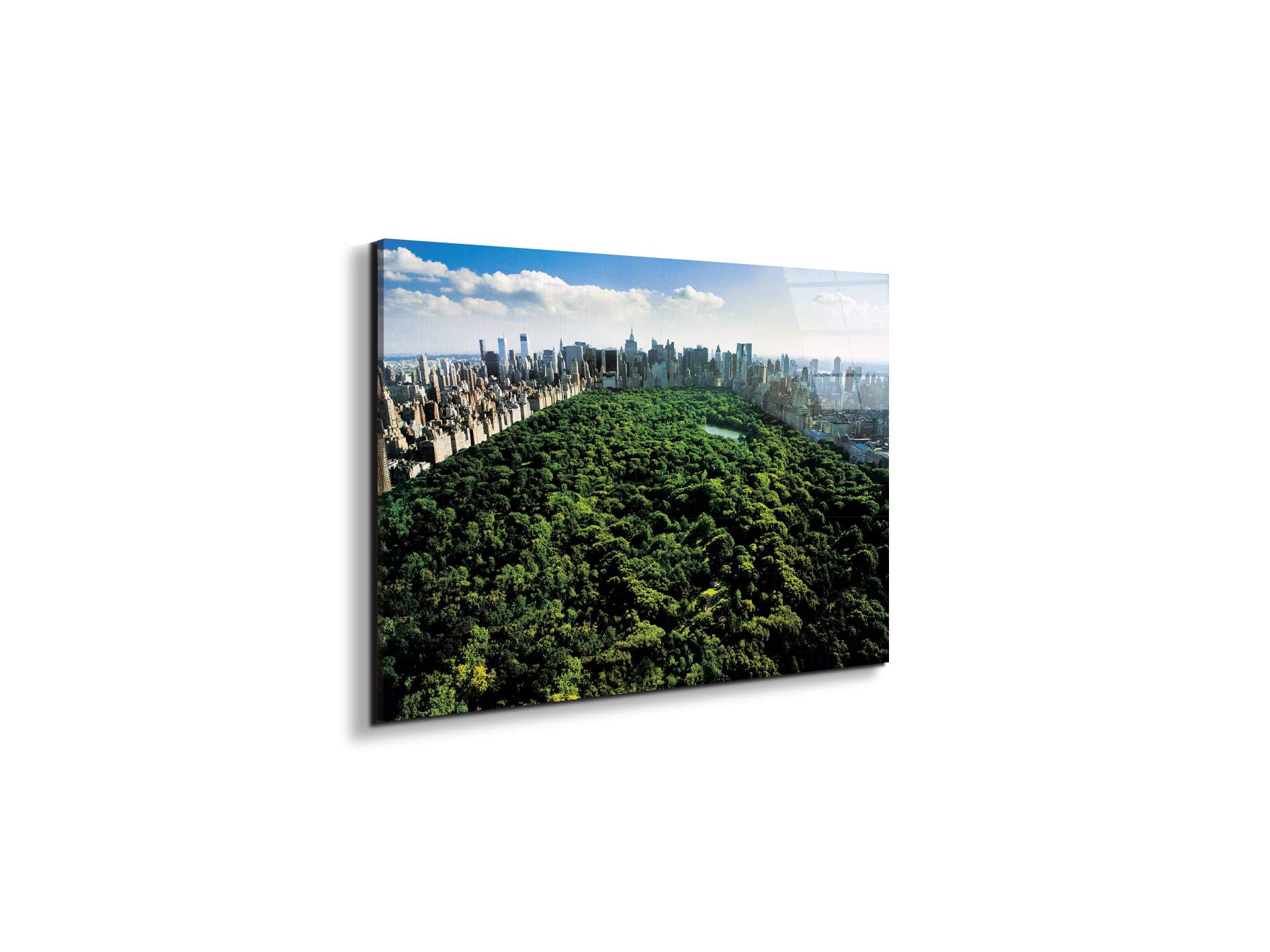 new-york-central-parkec22167-#materiale_EarthArt Total Gloss/dimensioni_50x33,33