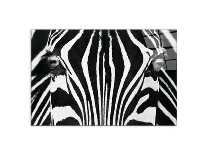 zebraec22171-