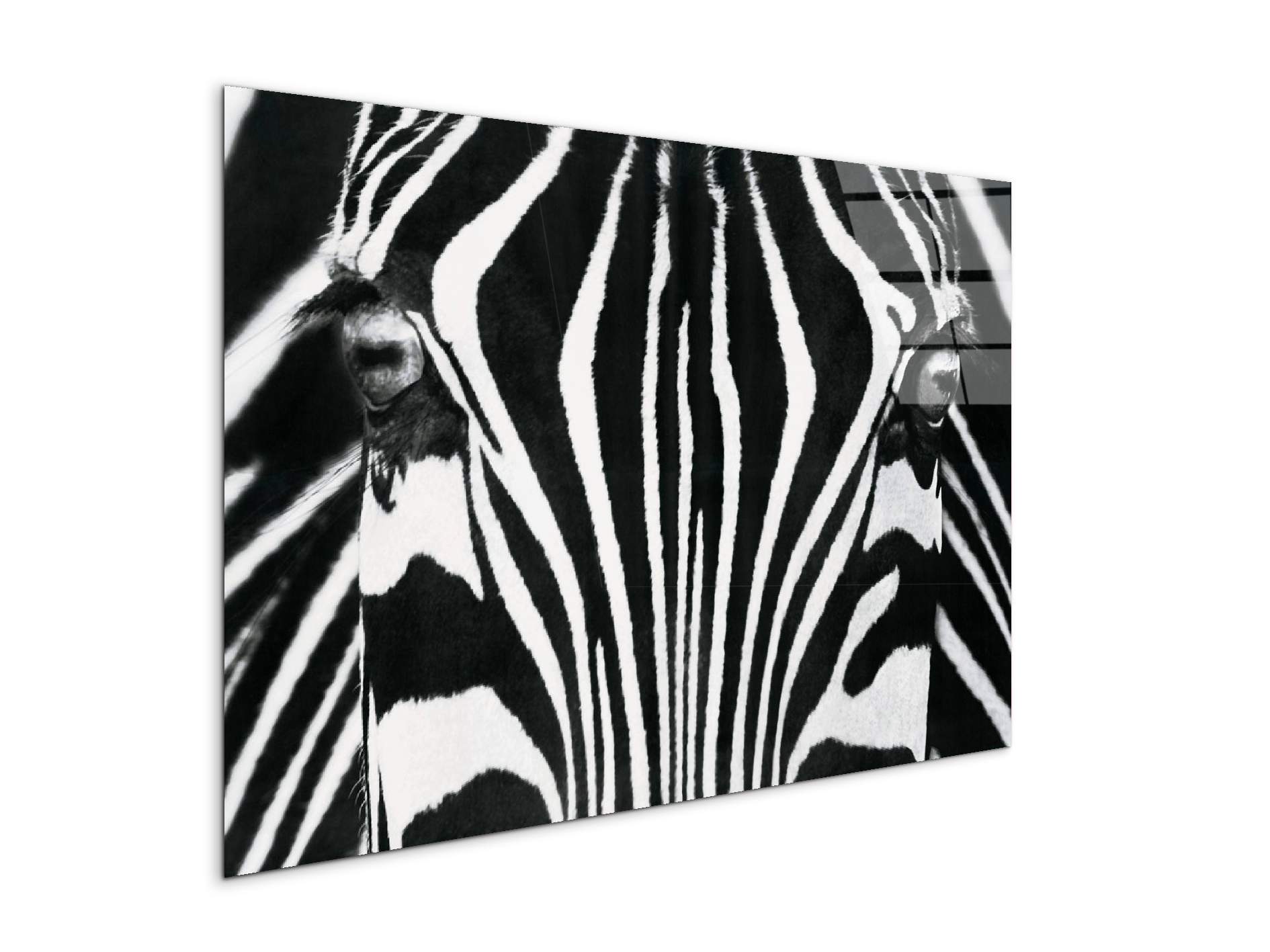 zebraec22171-#materiale_CrystalArt/dimensioni_79,5x53