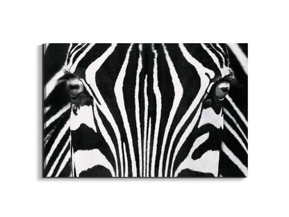 zebraec22171-