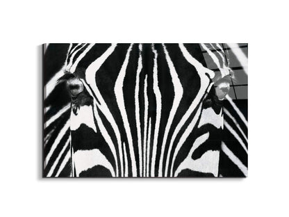 zebraec22171-