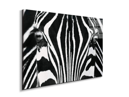 zebraec22171-
