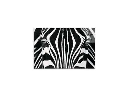zebraec22171-