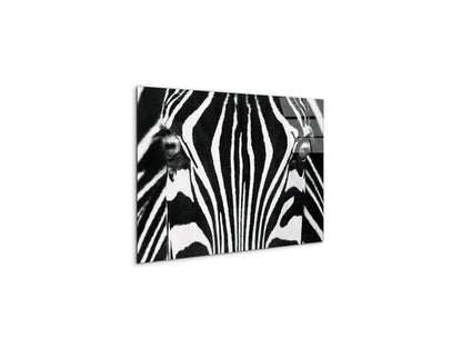 zebraec22171-