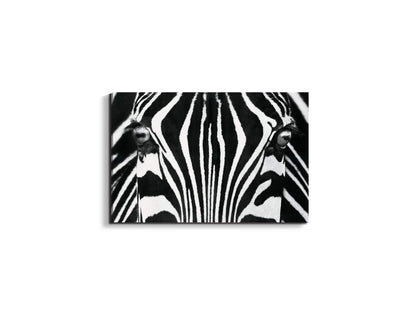 zebraec22171-