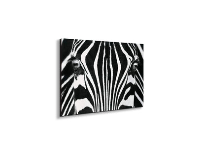 zebraec22171-