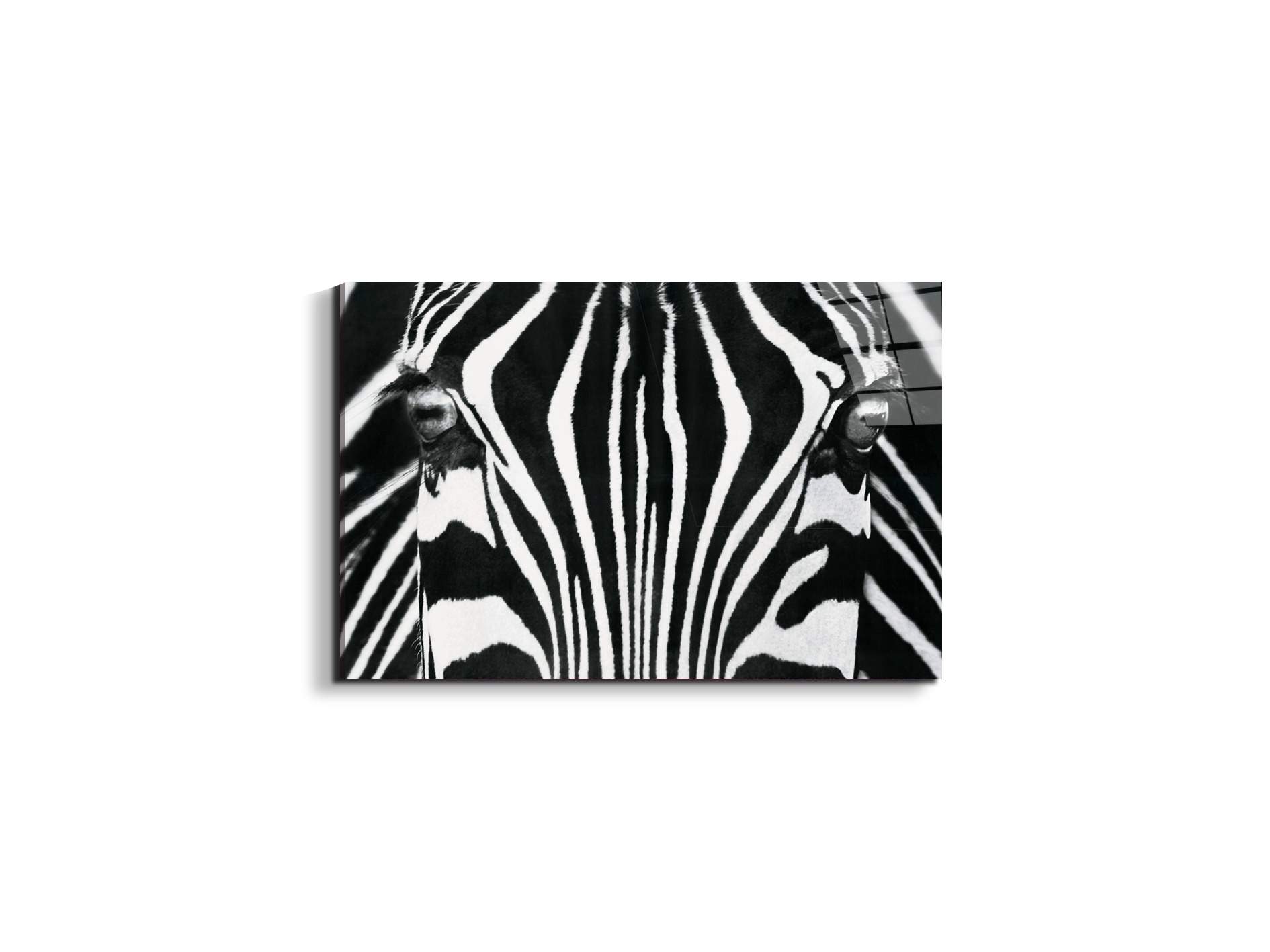 zebraec22171-