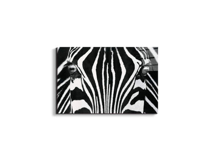 zebraec22171-