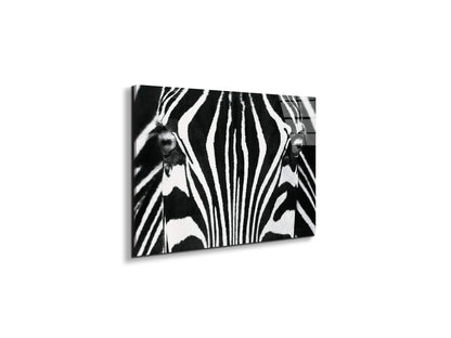 zebraec22171-