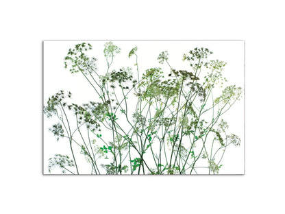 weedsec22173-#materiale_CrystalArt/dimensioni_79,5x53