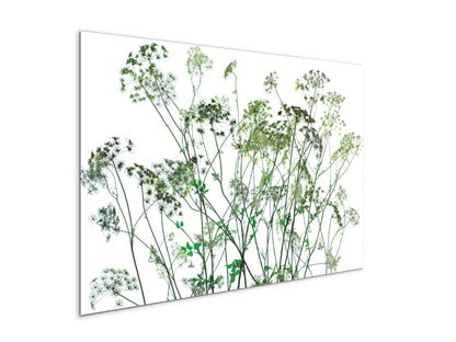 weedsec22173-#materiale_CrystalArt/dimensioni_79,5x53