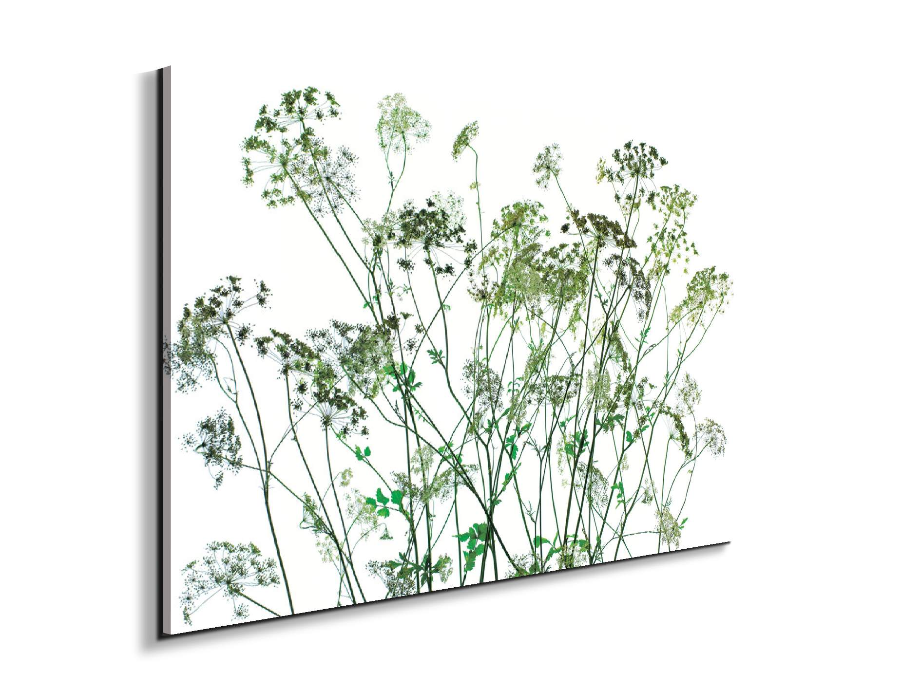 weedsec22173-#materiale_EarthArt/dimensioni_79,5x53