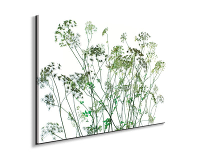 weedsec22173-#materiale_EarthArt Total Gloss/dimensioni_79,5x53