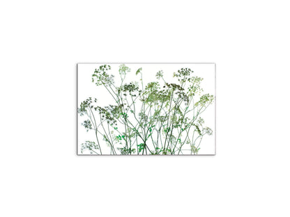 weedsec22173-#materiale_CrystalArt/dimensioni_50x33,33