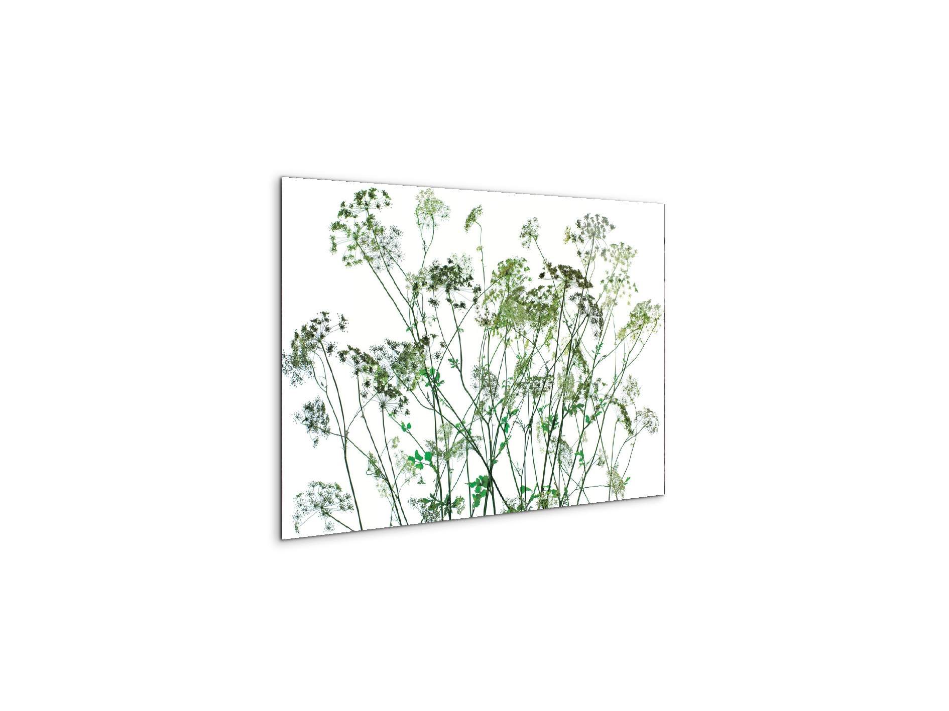 weedsec22173-#materiale_CrystalArt/dimensioni_50x33,33