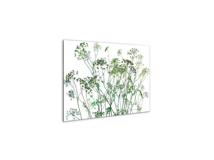weedsec22173-#materiale_CrystalArt/dimensioni_50x33,33