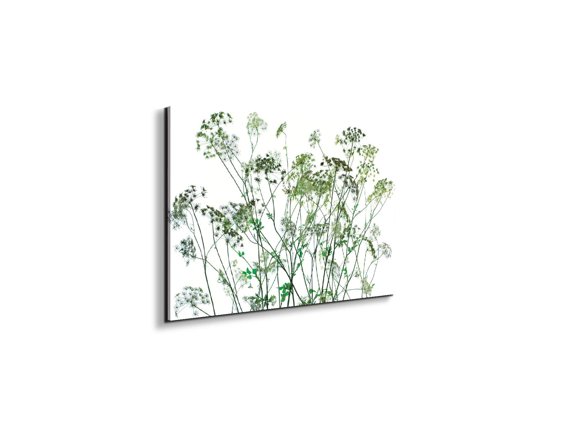 weedsec22173-#materiale_EarthArt/dimensioni_50x33,33