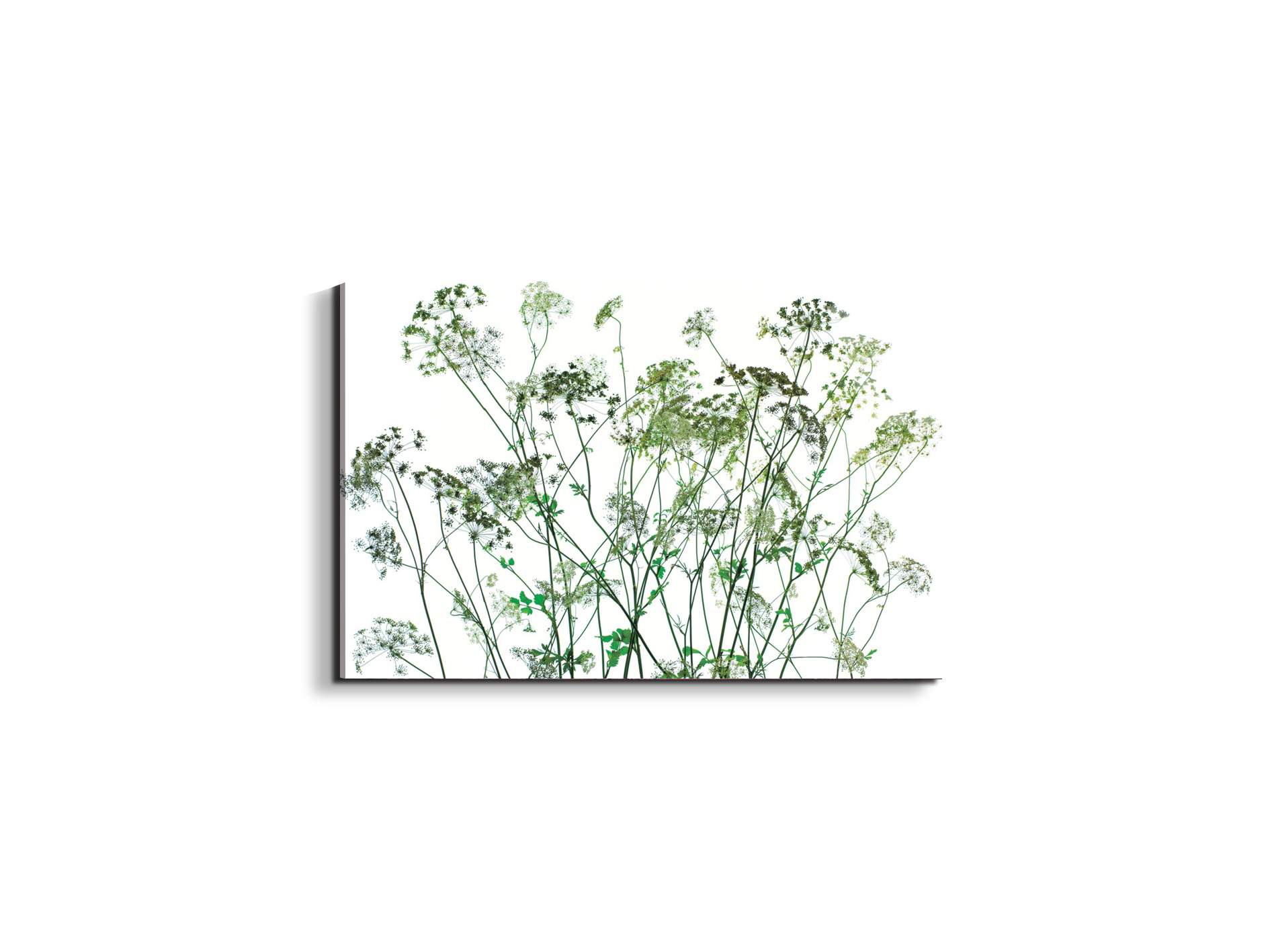 weedsec22173-#materiale_EarthArt Total Gloss/dimensioni_50x33,33