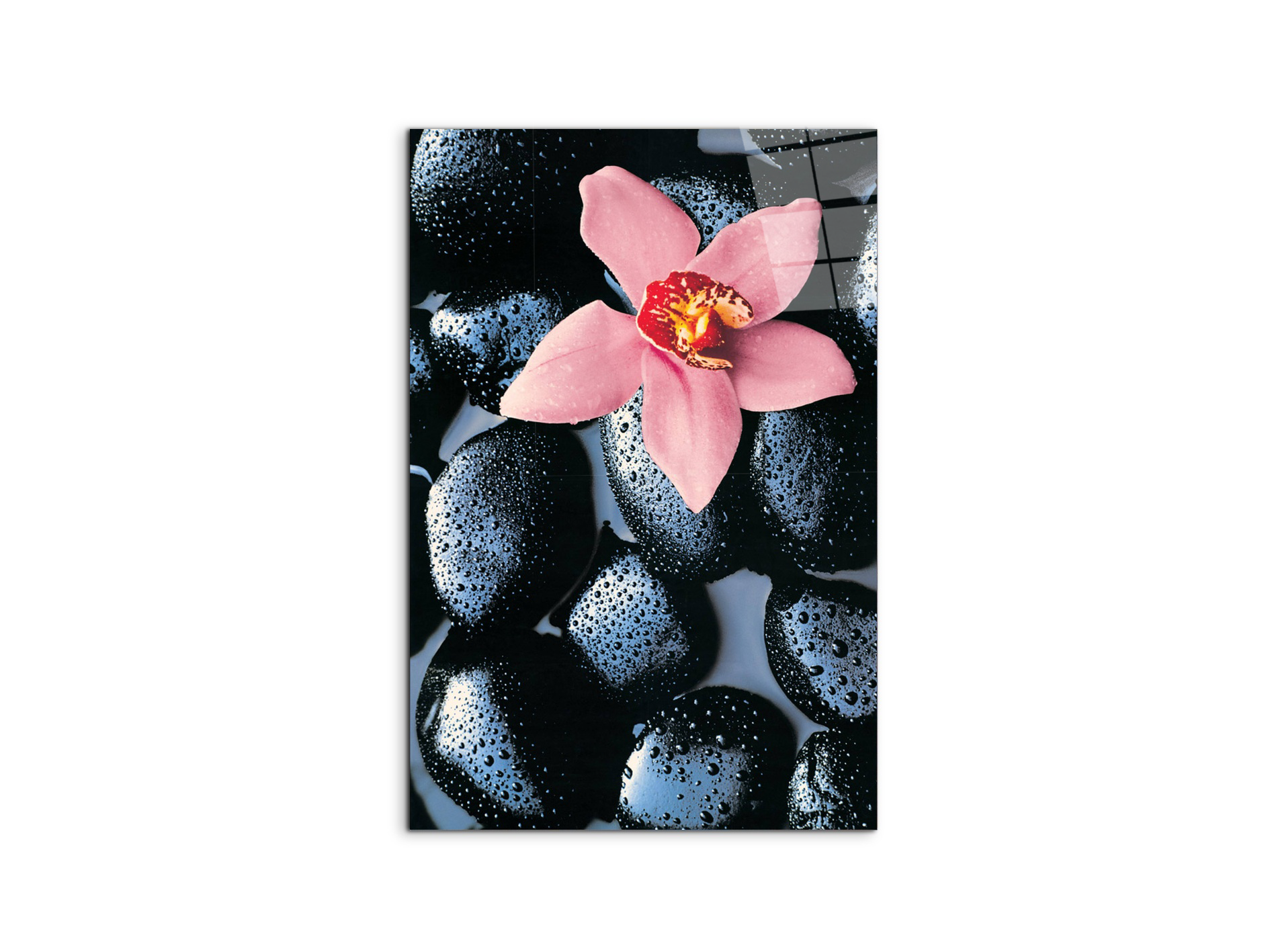 #materiale_CrystalArt/dimensioni_53x79,5
