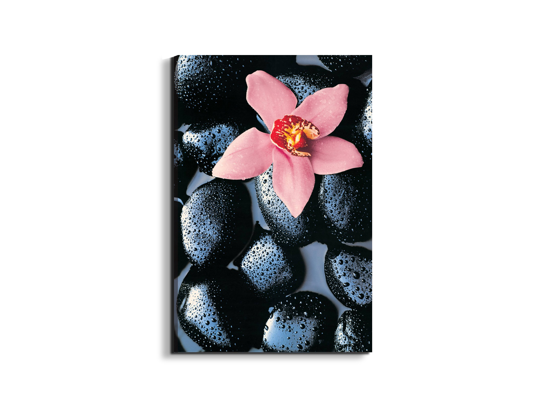 #materiale_EarthArt/dimensioni_53x79,5