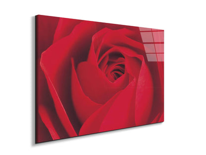 red-rose-detailec22176-#materiale_EarthArt Total Gloss/dimensioni_79,5x53