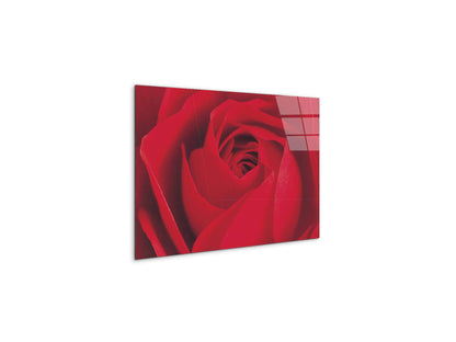 red-rose-detailec22176-#materiale_CrystalArt/dimensioni_50x33,33