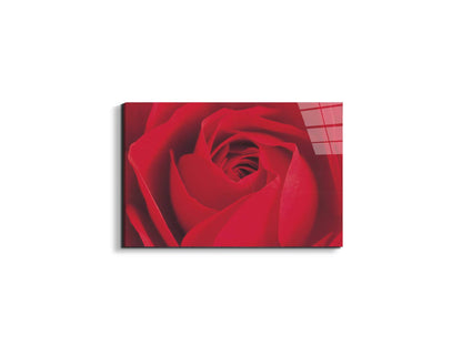 red-rose-detailec22176-#materiale_EarthArt Total Gloss/dimensioni_50x33,33
