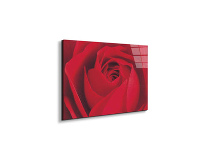 red-rose-detailec22176-#materiale_EarthArt Total Gloss/dimensioni_50x33,33