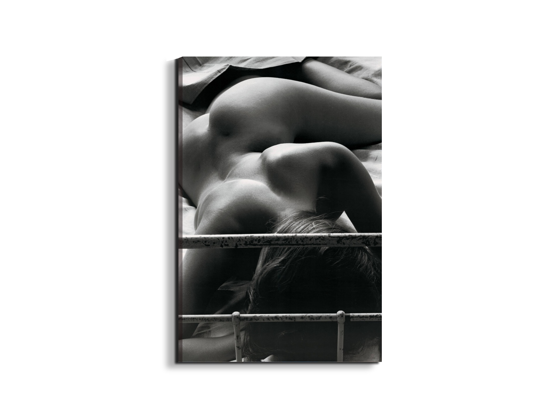 #materiale_EarthArt/dimensioni_53x79,5