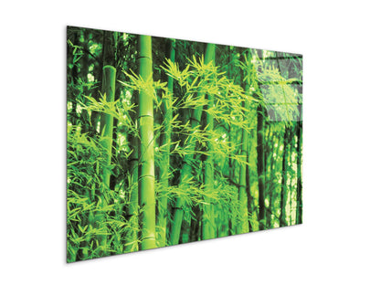 bambooec22182-#materiale_CrystalArt/dimensioni_79,5x53