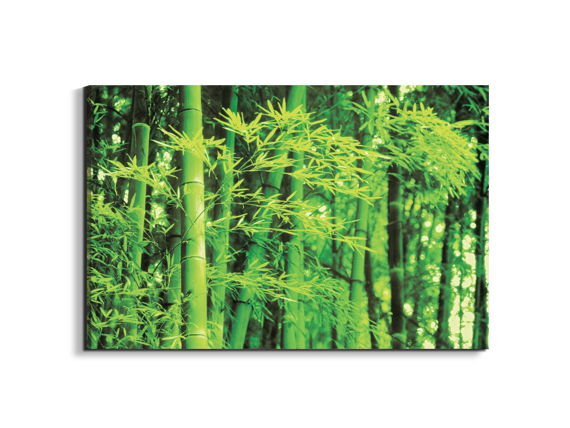 bambooec22182-#materiale_EarthArt/dimensioni_79,5x53