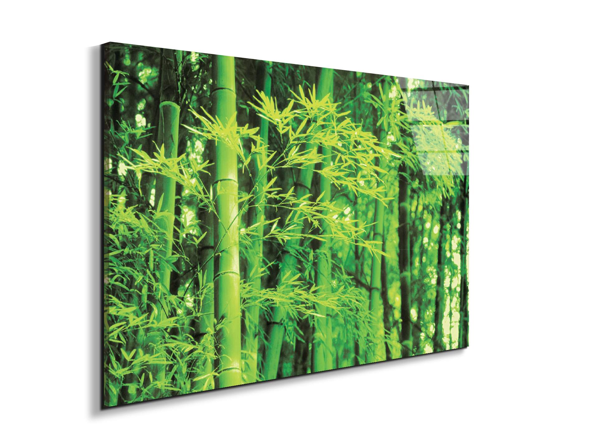 bambooec22182-#materiale_EarthArt Total Gloss/dimensioni_79,5x53