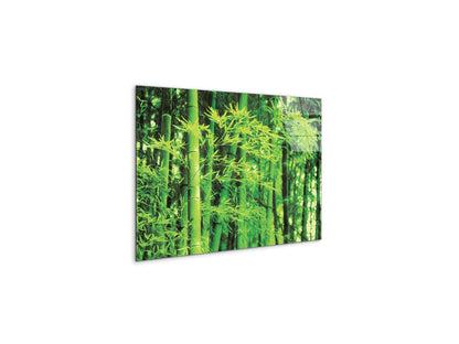 bambooec22182-#materiale_CrystalArt/dimensioni_50x33,33