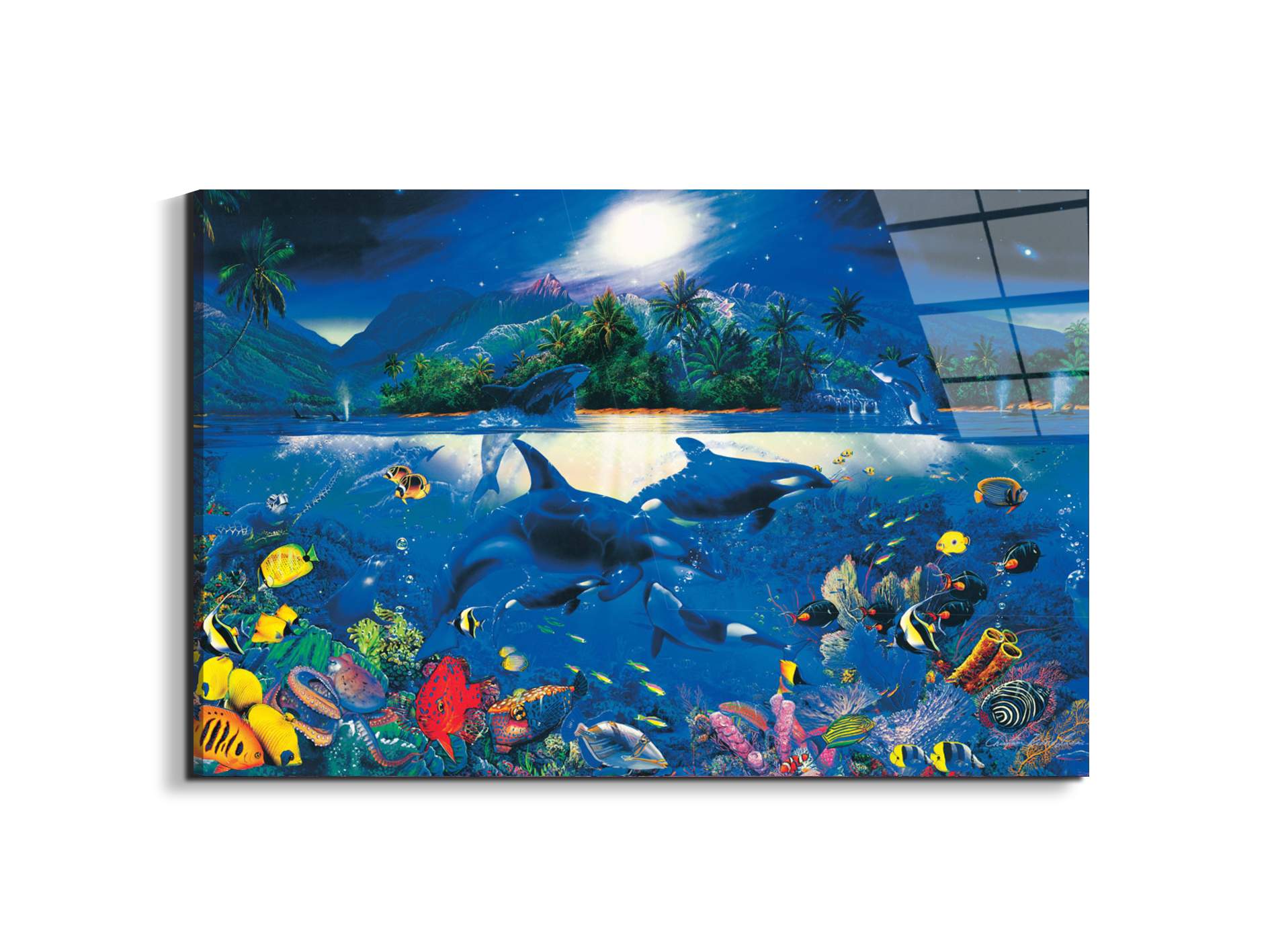 magic-kingdomec22192-#materiale_EarthArt Total Gloss/dimensioni_79,5x53