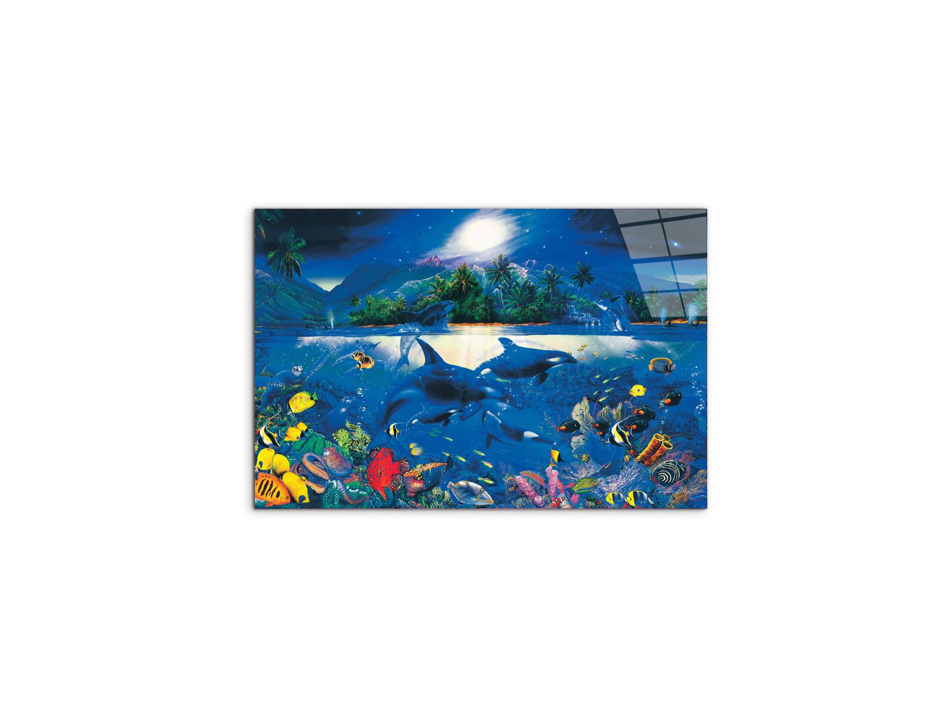 magic-kingdomec22192-#materiale_CrystalArt/dimensioni_50x33,33
