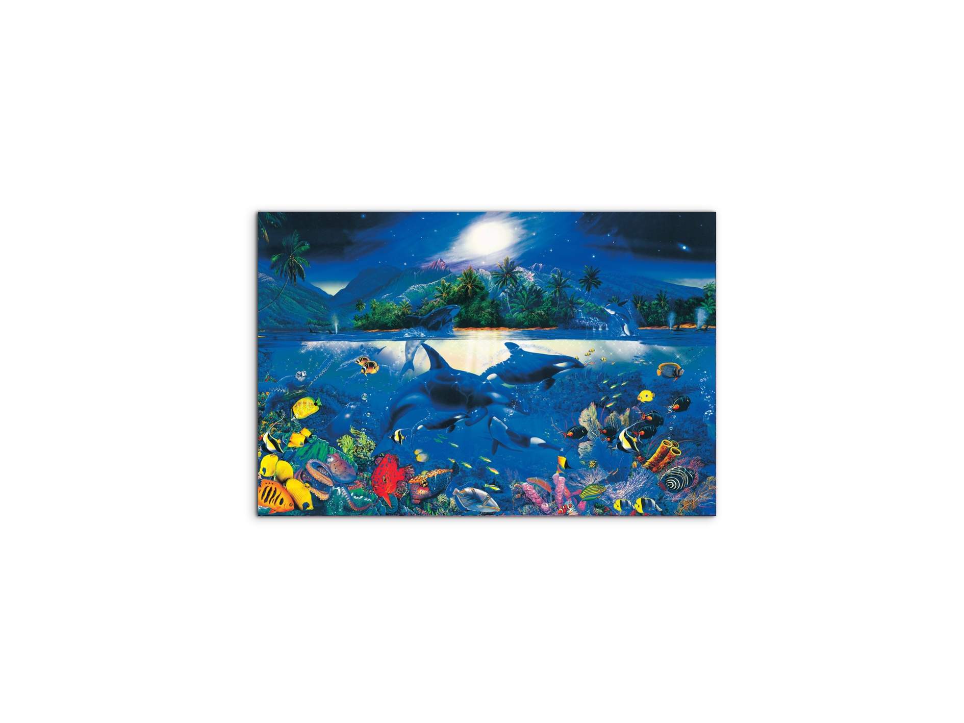 magic-kingdomec22192-#materiale_MetalArt Materic/dimensioni_50x33,33