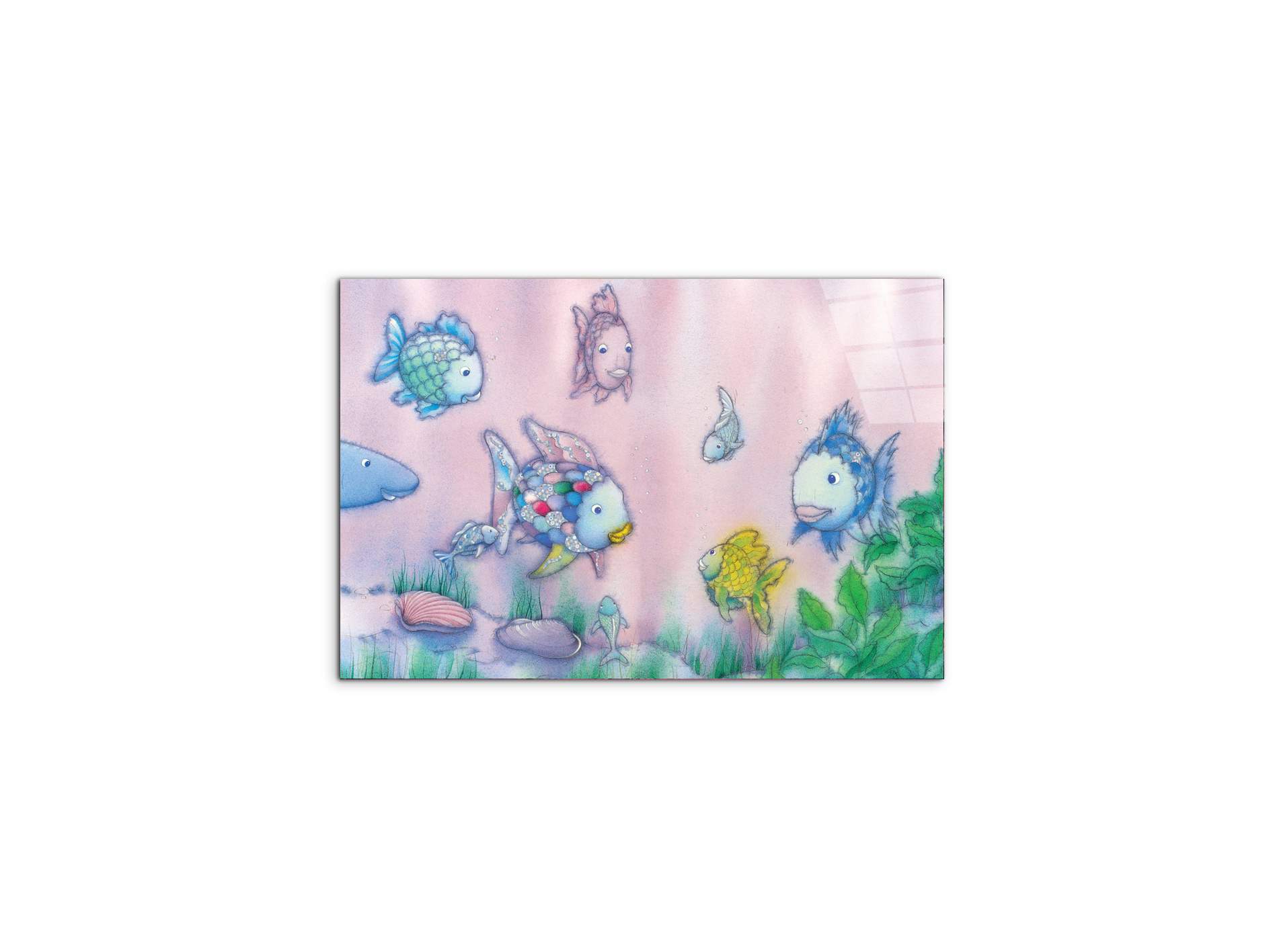rainbow-iec22201-#materiale_CrystalArt/dimensioni_50x33,33
