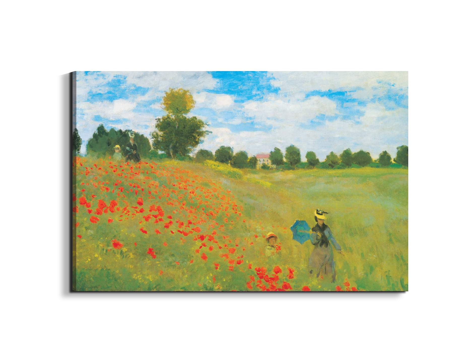 homage-to-monet-poppies-field-iiec22206-#materiale_EarthArt/dimensioni_79,5x53