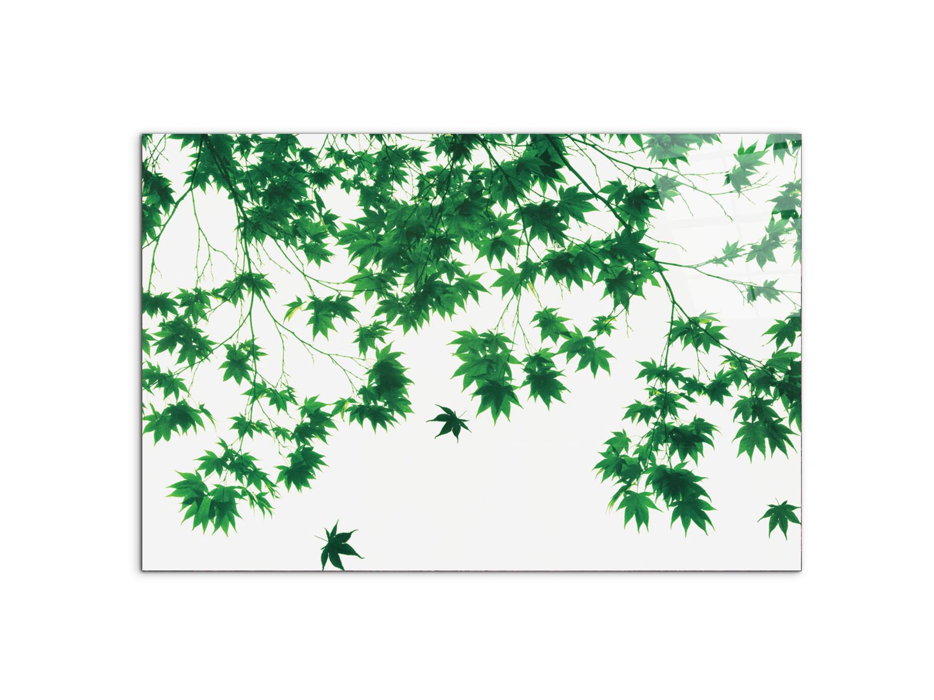 autumn-leavesec22208-#materiale_CrystalArt/dimensioni_79,5x53