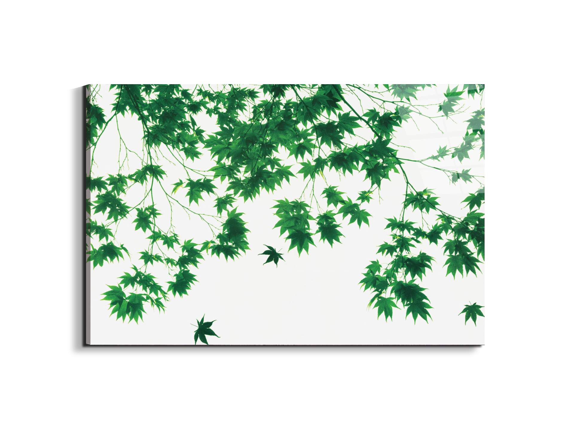 autumn-leavesec22208-#materiale_EarthArt Total Gloss/dimensioni_79,5x53