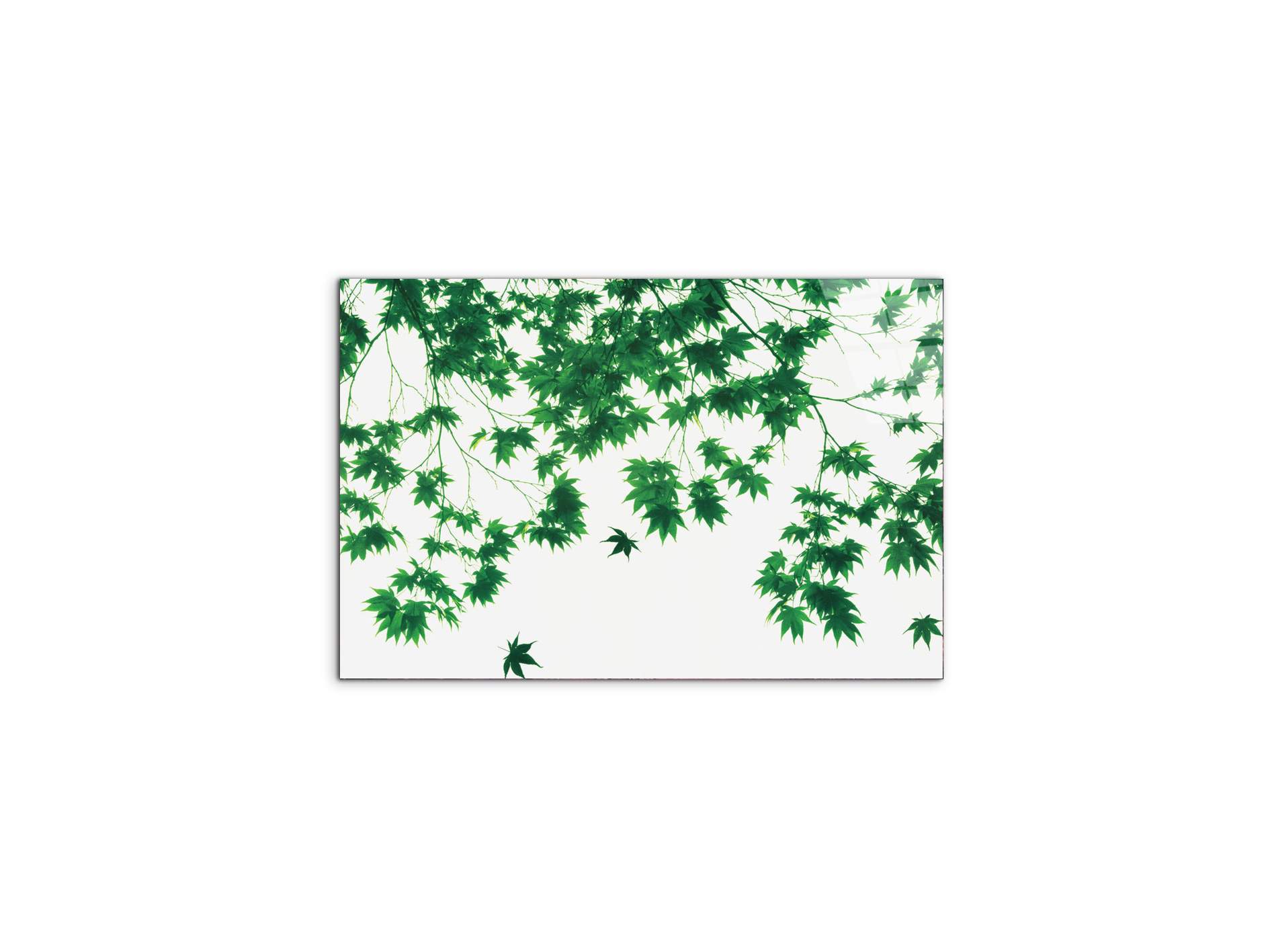 autumn-leavesec22208-#materiale_CrystalArt/dimensioni_50x33,33