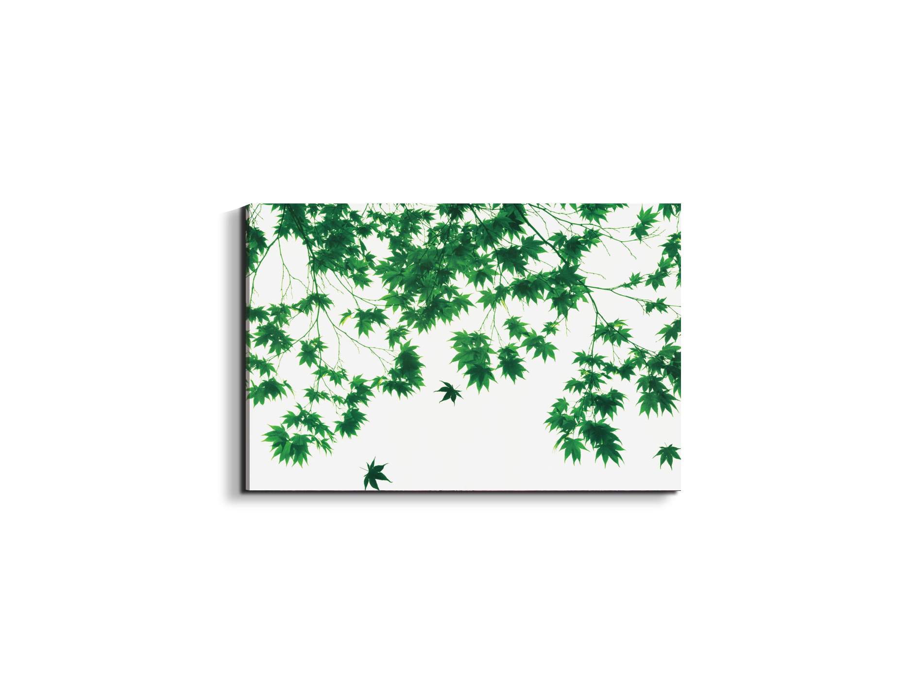 autumn-leavesec22208-#materiale_EarthArt/dimensioni_50x33,33