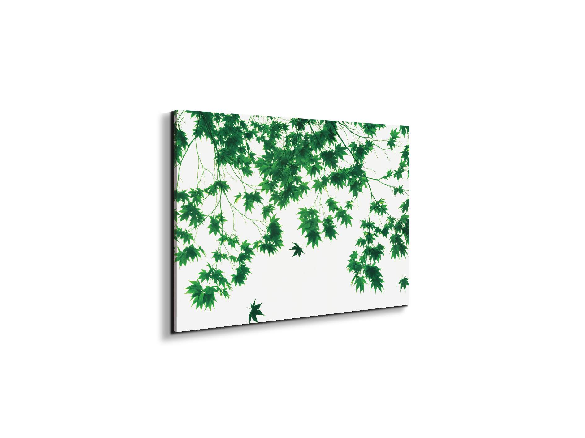 autumn-leavesec22208-#materiale_EarthArt/dimensioni_50x33,33