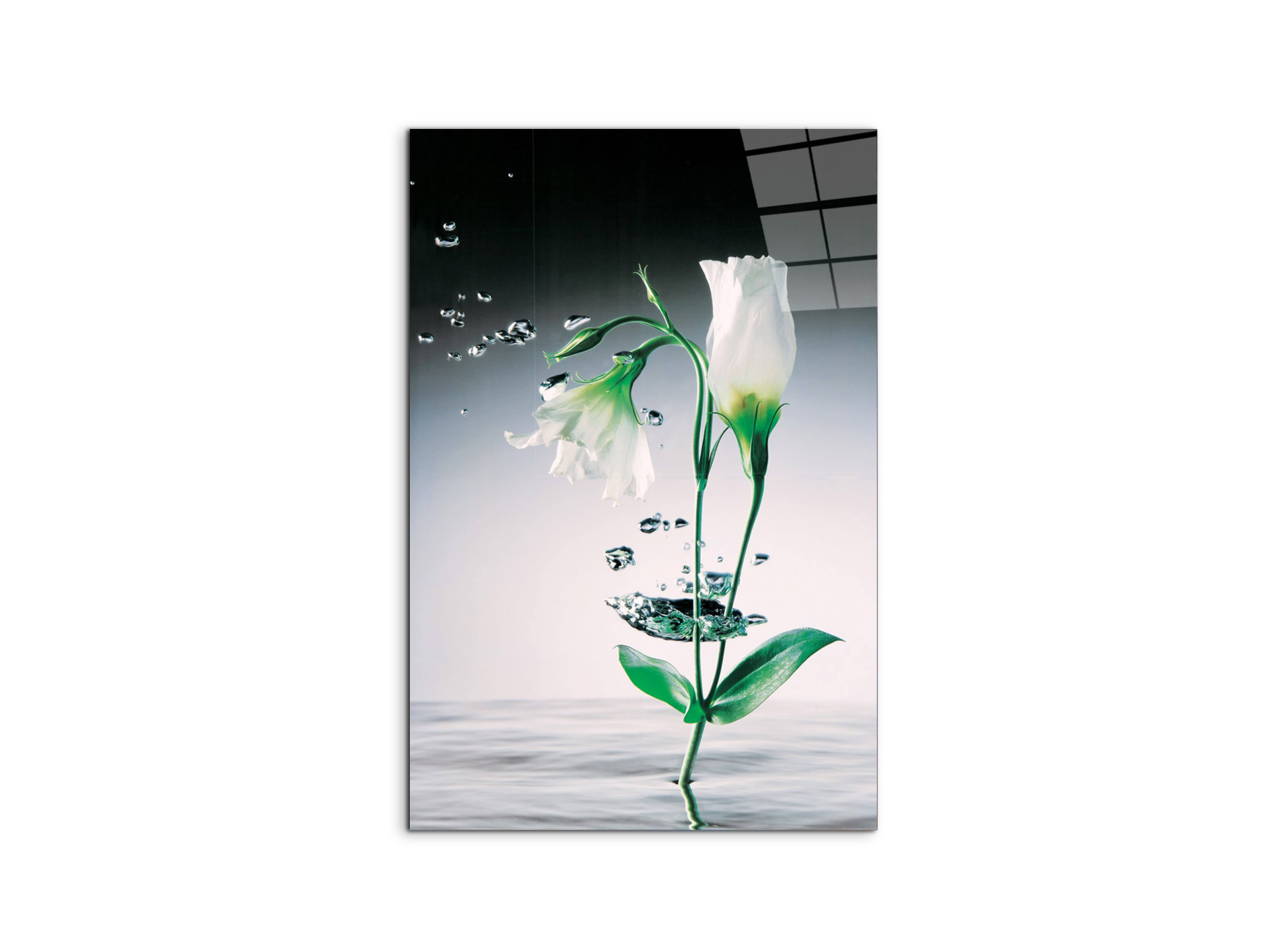 #materiale_CrystalArt/dimensioni_53x79,5